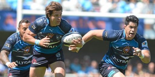 Top14 – la demi-finale : Montpellier-Hérault – Castres Olympique cet après-midi, à 16 h 30, à Lille